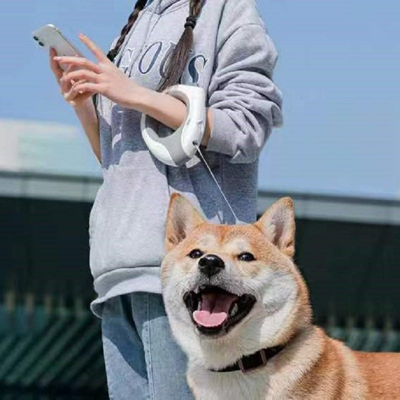 Introducing the LED Night Light Automatic Retractable Pet Training Leash